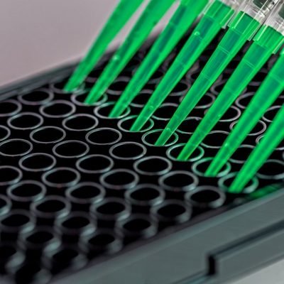 Microplate Reader